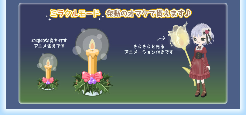 プレミアムガーデンショップにキャンドルフラワーが入荷