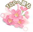 ページのトップへ戻る