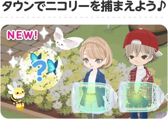 タウンでニコリーを捕まえよう♪